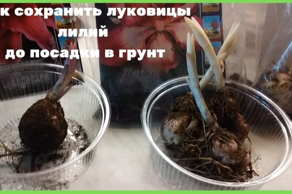 Кракен это современный даркнет маркетплейс