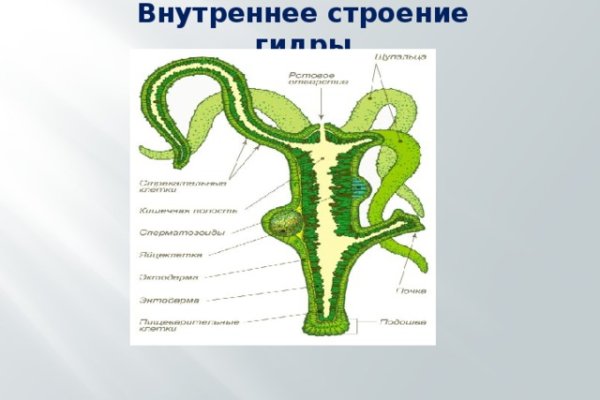 Как вывести деньги с кракена маркетплейс