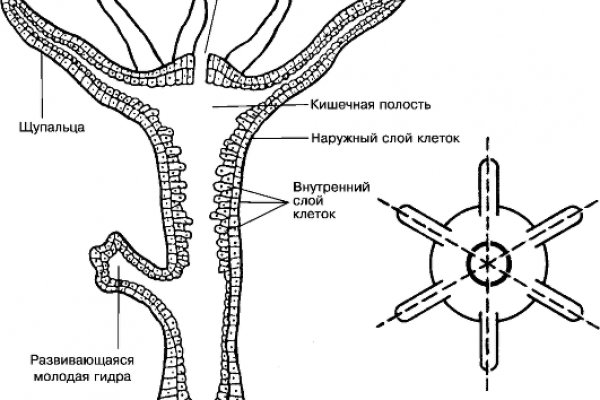 Кракен сайт маркетплейс