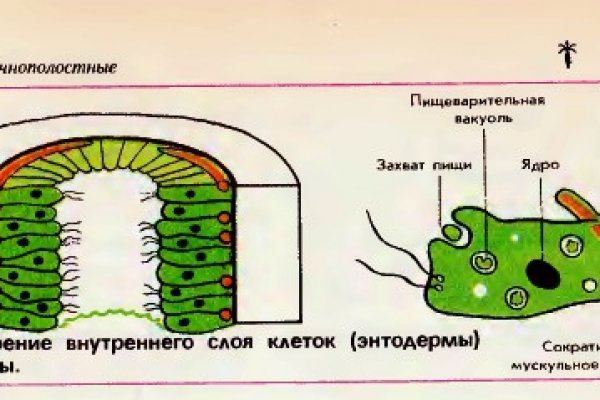 Кракен это современный маркетплейс